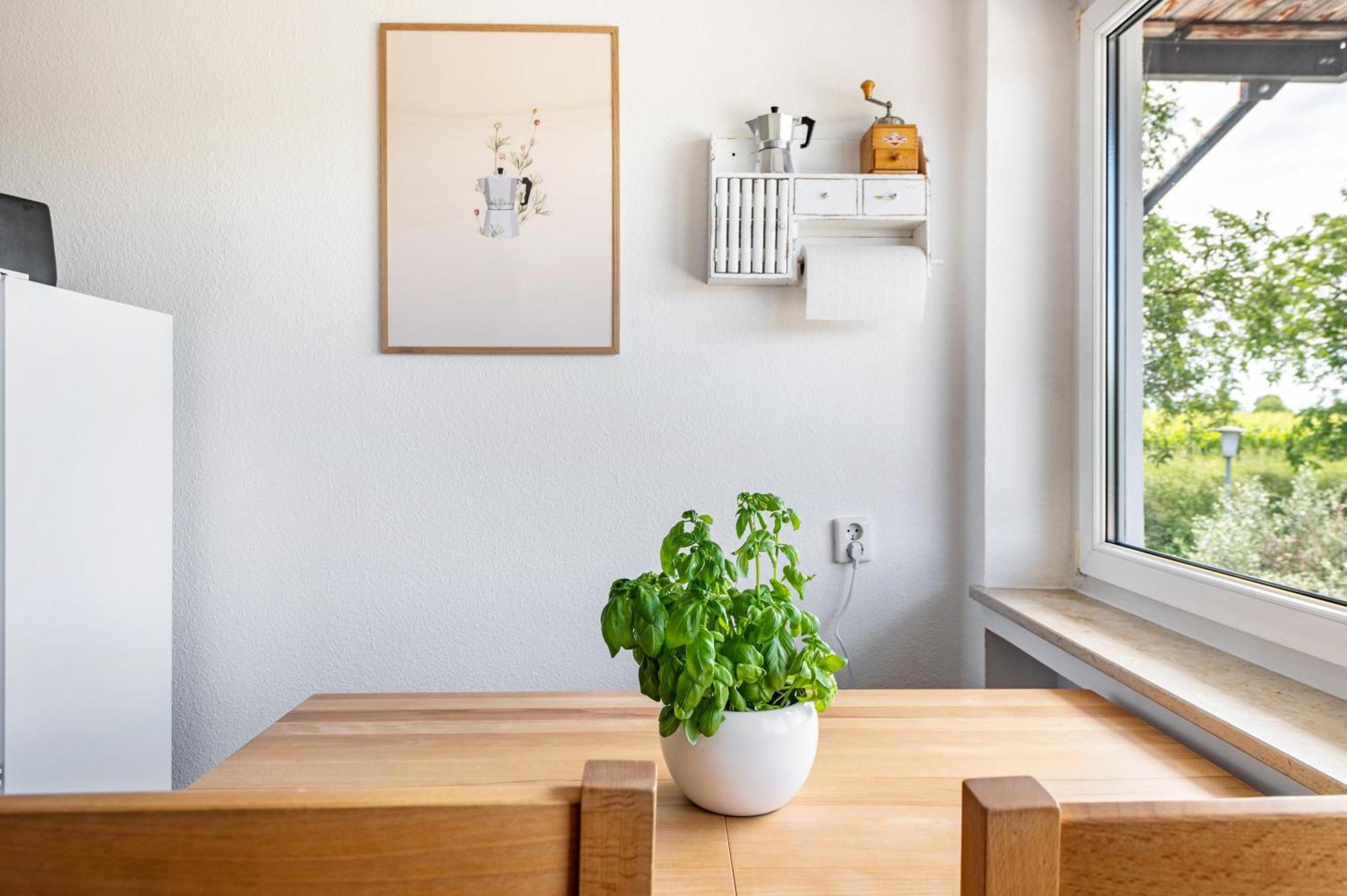 Ferienwohnung In Den Bachteln Зульцбург Экстерьер фото